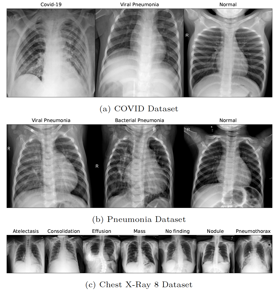 sample-dataset